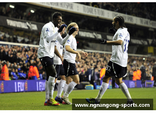 热刺球员风采：球场上的荣耀与背后的故事