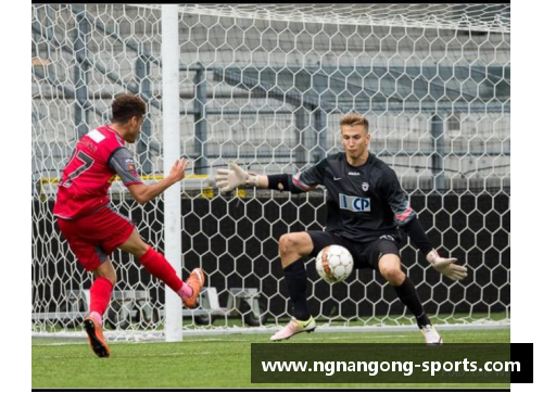 冰岛门将：从寒冷之地到绿茵场的守护者