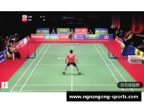 羽毛球之星：探寻世界顶尖选手的风采